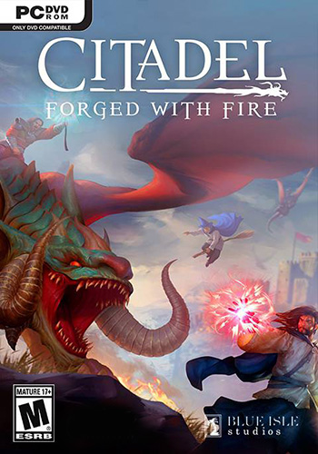دانلود بازی Citadel Forged with Fire