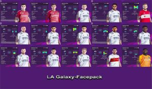 فیس پک LA Galaxy