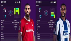 فیس Semi Ajayi و Lewis Grabban