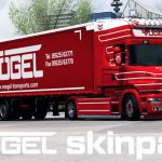 اسکین THE BIG VOGEL