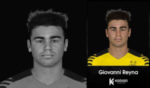 فیس Giovanni Reyna