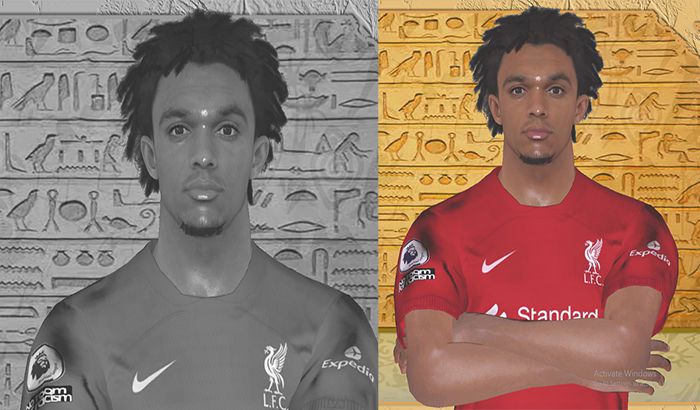 فیس Alexander-Arnold