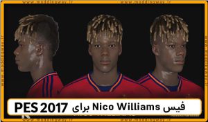فیس Nico Williams