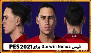 فیس Darwin Nunez
