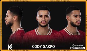فیس Cody Gakpo