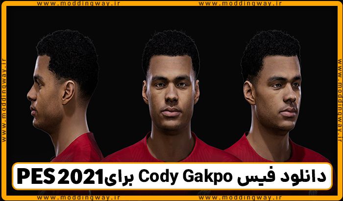 فیس جدید Cody Gakpo