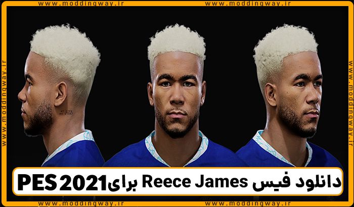 فیس Reece James