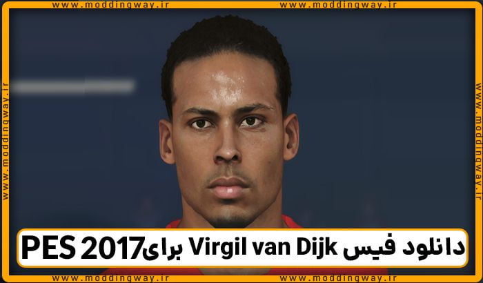 فیس Virgil van Dijk
