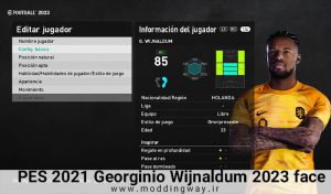 فیس Georginio Wijnaldum برای PES 2021 - آپدیت 7 آذر 1402