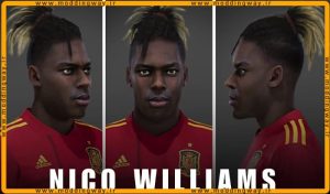 فیس Nico Williams