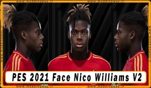 فیس Nico Williams
