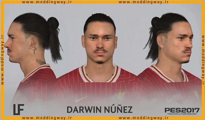 فیس Darwin Nunez 2024