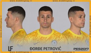 فیس Djordje Petrovic