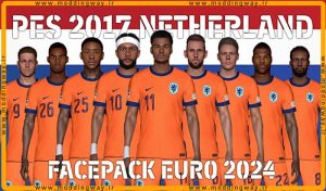 فیس پک تیم ملی NETHERLANDS