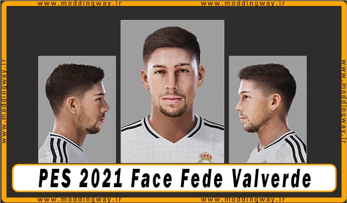 فیس Fede Valverde