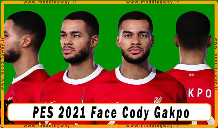 فیس Cody Gakpo