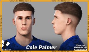 فیس Cole Palmer