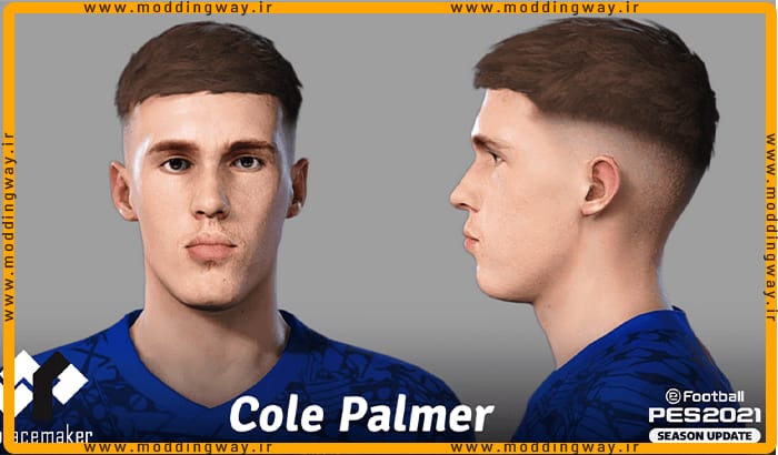 فیس Cole Palmer