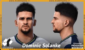 فیس Dominic Solanke