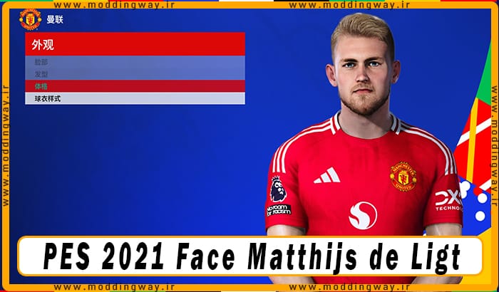 فیس Matthijs de Ligt 2024