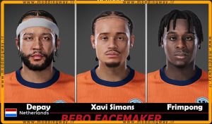 فیس پک Netherlands V.3