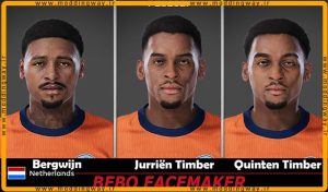 فیس پک Netherlands V.4