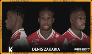 فیس Denis Zakaria