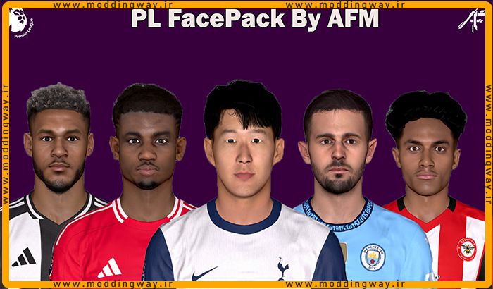 فیس پک PL Facepack