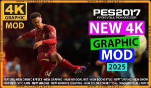 ماد گرافیکی 4K 2025 AIO