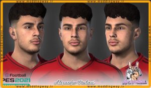 فیس Aleksandar Pavlovic 2024