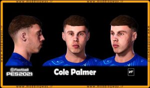 فیس Cole Palmer