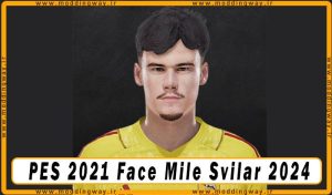فیس Mile Svilar 2024