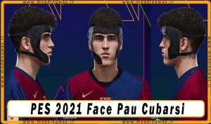 فیس Pau Cubarsi