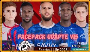 فیس پک Facepack Udapte v15 2024