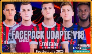 فیس پک Facepack Udapte v18 2024