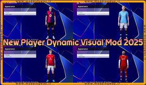 ماد گرافیکی Player Dynamic Visual 2025