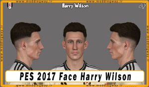 فیس Harry Wilson