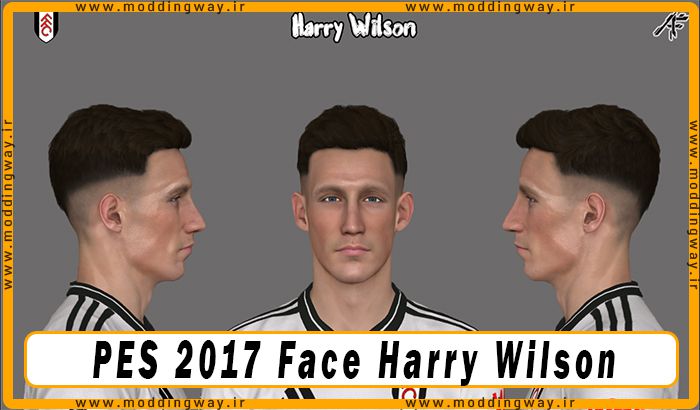 فیس Harry Wilson