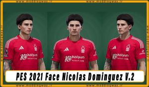 فیس Nicolas Dominguez
