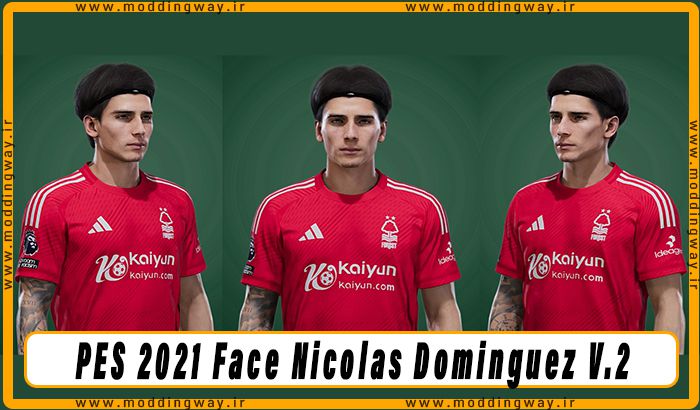 فیس Nicolas Dominguez