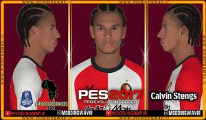 فیس Calvin Stengs