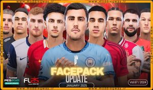 فیس پک FL25 Facepack Update v67