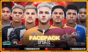 فیس پک FL25 Facepack Update v71