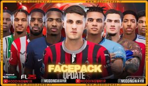 فیس پک FL25 Facepack Update v75