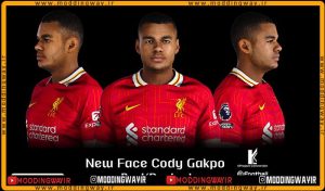 فیس Cody Gakpo 2025