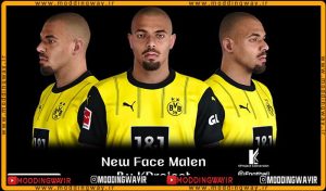 فیس Donyell Malen 2025