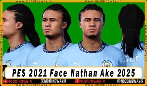فیس Nathan Ake 2025