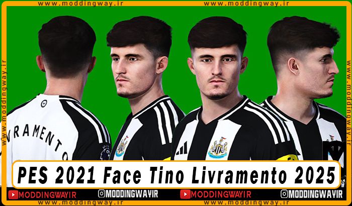 فیس Tino Livramento 2025