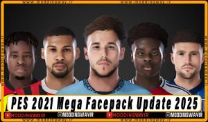 فیس پک Mega Facepack Update 2025