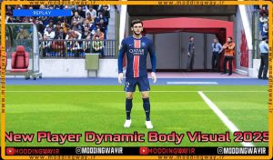ماد مدل بدن Player Dynamic Visual 2025